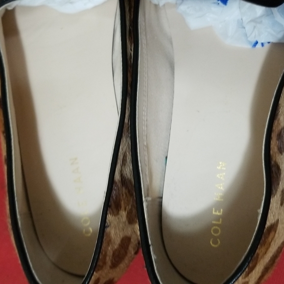 COLE HAAN SHOES - Picture 11 of 12